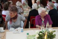 MTVGA_50 Jahre Gmnastik_0493_2015-06-07